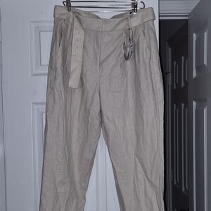 Express Light Khaki Chinos
